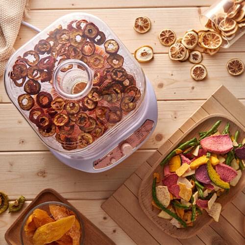 Household fruit dryer food dryer fruit vegetable pet meat food dehydrator small size