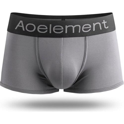 Mens Boxers Ice Silk Panties Homme Breathable Pouch Male Underpants Sexy Mans Underwear Boxershorts Plus Size Calzoncillo