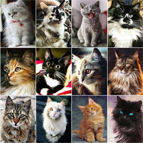 Diamond Embroidery Cross Stitch Kits Animals 5D Diy Diamond Painting Cat Full Drill Square Round Mosaic Home Handwork Gift