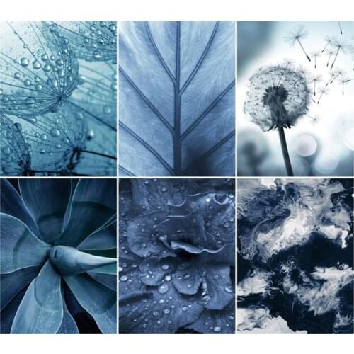 Blue Dandelion Leaves Succulents Plant Wall Art 5D Diamond Painting Nordic Posters Diamond Embroidery for Living Room Decoration