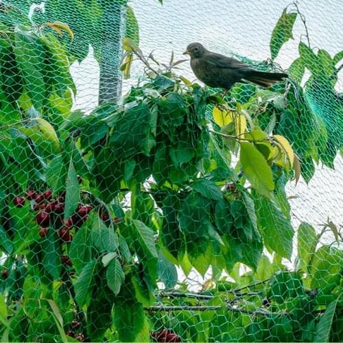 Anti-Bird Net Protection Net Fruit Tree Net For Birds Net Nylon Netting Vegetable Net Chicken Netting Mist net Cat Net Dog Net
