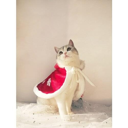 Snow and ice theme autumn winter sweet pet dog cat cape new year clothes winter thickening coat jacket pet supplies cat hoodie