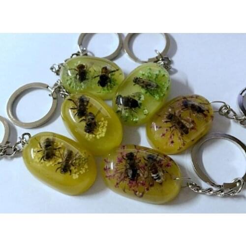 FREE SHIPPING 12 pcs Yqtdmy Bee Collection Education Real Insect Specimen flower keychain