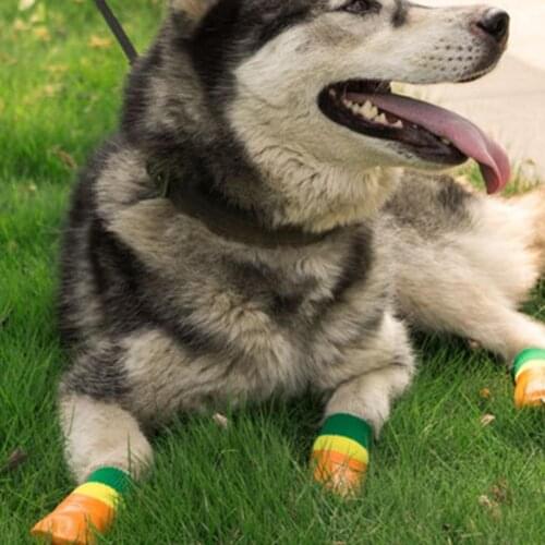 4Pcs Non-slip Pet Socks Waterproof Wear-resistant Cotton Breathable Puppy Paw Protector for Walking Rainy Dog Socks Accessories
