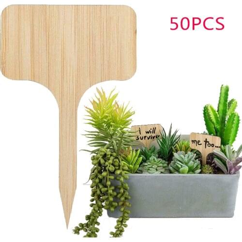50Pcs Bamboo Plant Label Garden Label T-Shaped Plant Label,Wooden Bonsai Decora 4.2x4.1x2.3cm,Garden Design Decora Garden JU0036