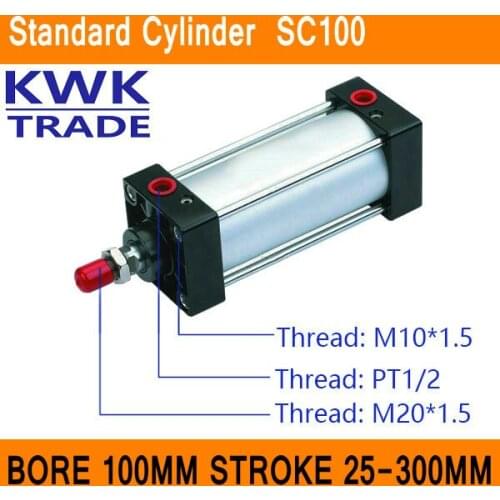 SC100 Standard Air Cylinder Mini Valve CE ISO Bore 100mm Strock 25mm to 300mm Stroke Single Rod Double Acting Pneumatic Cylinder