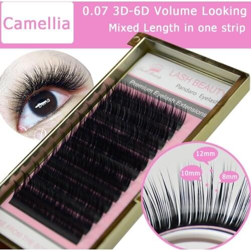 Qeelasee Camellia Eyelash Pandora 3D-6D 0.07 Volume Eyelash Extensions Mixed Length in One Lash Strip Fancy Packing Lash Box