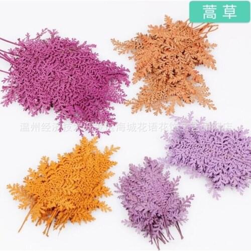 DIY Handmade Wormwood Dried Flowers Embossed Plant Specimens Epoxy Dried Flowers Mobile Phone Shell Aromatherapy Flowers