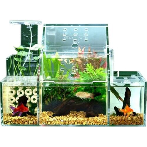Ecological Fighting Fish Tank Peacock Fish Breeding Hatching Special Isolation Box Circulation Water Filtration Creative Tank