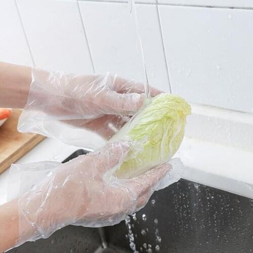 100PCS Food Plastic Gloves Waterproof PE Disposable Gloves for Restaurant Kitchen BBQ Eco-friendly Food Fruit Washing Glove