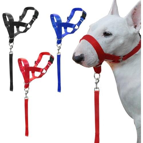 Nylon Dogs Head Collar Dog Training Halter Blue Red Black Colors M L XL XXL Sizes