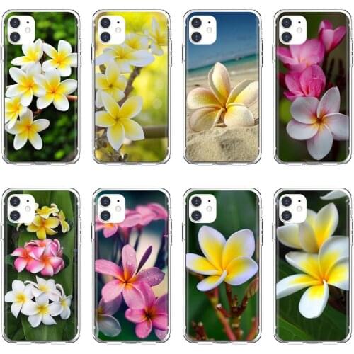 Housing Group-of-beautiful-frangipani-flowers For Apple iPhone 10 11 12 Pro Mini 4S 5S SE 5C 6 6S 7 8 X XR XS Plus Max 2020