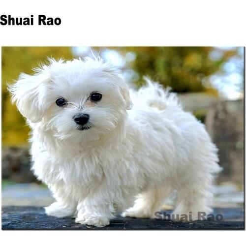 Full round drill Diamond Painting maltese,diamond Embroidery Mosaic Cross Stitch square Rhinestone animal cute pet home decor