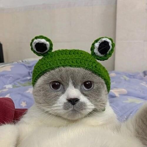 Cute Pet Cat Hat Headdress Ears for Dog Autumn Winter Funny Small Cat Dog Cosplay Frog Cap Puppy Kitten Headwear Cat Supplies