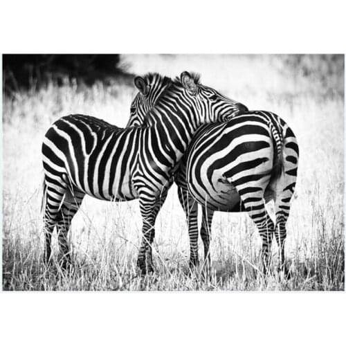 Full Square Animal 5D Diy Diamond Painting zebra Diamond Embroidery Sale pattern Diamond Mosaic Needlework Home Decoration GH422