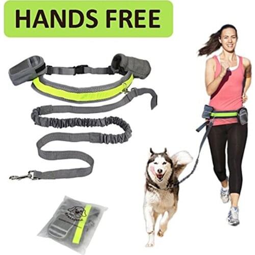 Perfect Walking Training Dog Leash Set Hands Free Pet Dog Cat Running Jogging Padded Waist Belt Reflective Strip Elastic Leash