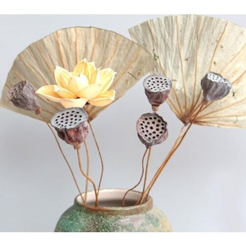 1Pc Lotus Natural Dried Flowers Farmhouse Dried Plant Branch Fall Decorations For Home Party Office Decorative Pressed Floral
