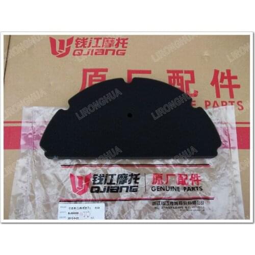 Motorcycle Accessories Tour / European Version Huanglong BJ600GS/-A BN600 Air Filter Core Filter