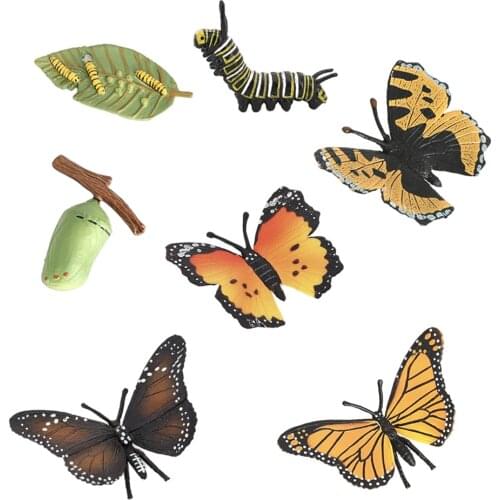 Butterfly Growth Cycle Kid Cognitive Educational Toy Kids Animal Science Toy