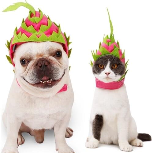 Pet Costume Dog Cat Headgear Halloween Dragon Fruit Design Hat Dog Cat Adjustable Cap for Halloween Xmas Festival Birthday Theme