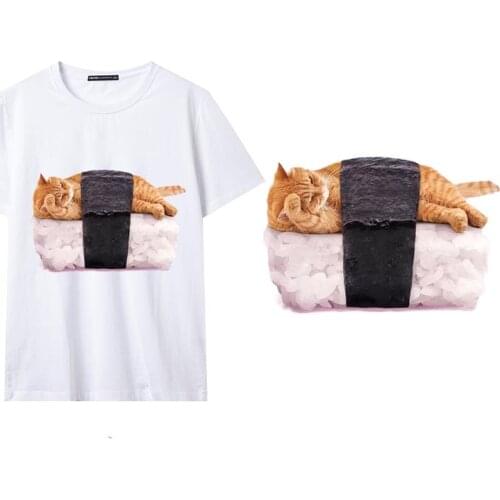 Panda Teacher DIY Patches On Cloths Iron On Heat Transfer Printing Stickers For Clothes T-shirt Appliques Washable For Cloths