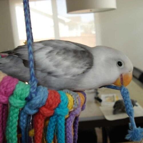 Chewing Bite Hanging Pet Bird Parrot Toy Cotton Rope Toys Bridge String Cage Swing Climb Chew Toys for Medium Parrot