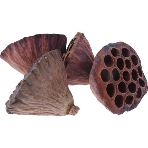 1pcs Natural Dried Lotus Flowers Office Decoration Flower Arrangement Home Party Decor Photo Prop Photography Shoots