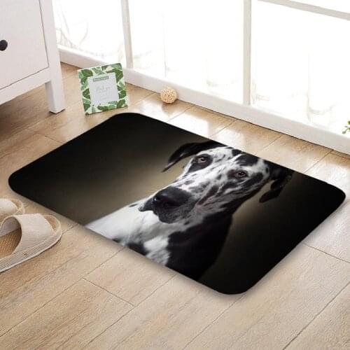 HEARMNY New Arrival Doormat Dalmatian Dog Home Mat Machine Made Anti Slip Carpet Living Room/Hallway Bath Mat For Kids Gift