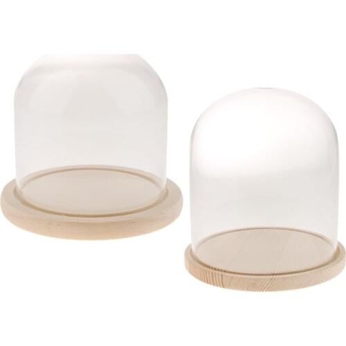 2 Pieces Glass Domes Vintage Display Bell Jar Cover Tabletop For Plants Food