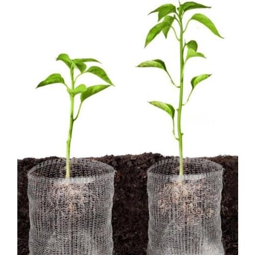 2pcs Stainless Steel Plant Net Bag Gardening Plant Protection Net Valuable Plants Flowers & Fruit Seedlings Anti-mouse Bite Net