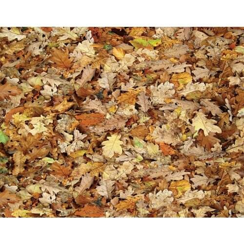 Autumn fallen leaves baby photography backdrops vinyl portrait photo backgrounds for photo Studio accessories photocall NB-226