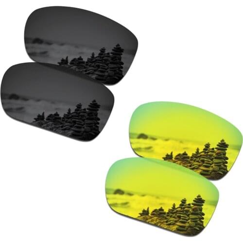 SmartVLT 2 Pairs Polarized Sunglasses Replacement Lenses for Oakley TwoFace Stealth Black and 24K Gold