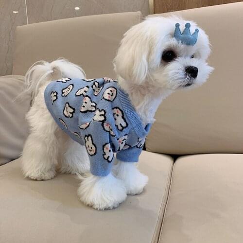 Pet Clothes Dog Sweater Maltese Bichon Teddy/Pomeranian Schnauzer Puppy Small Dog Cat Autumn and Winter Clothing