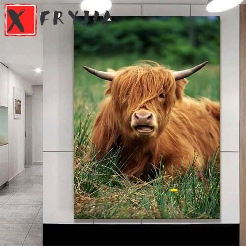 5d home decoration Dutch Highland Cattle diamond painting full square round diamond embroidery diamond art cross stitch mosaic