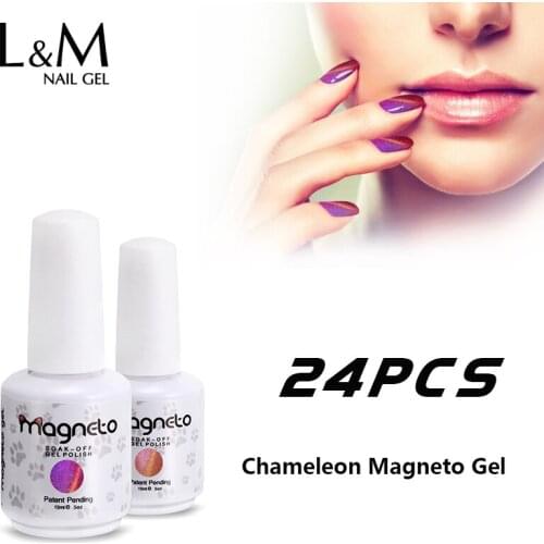 24 Pcs Kit Chameleon Magneto Gel Magnetic 15ml 3D Cat Eyes Colorful Phantom Polish Brands Bright Long Lasting Soak Off Varnish