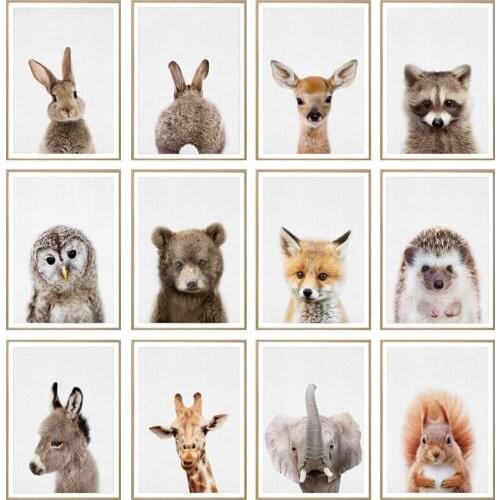 Cute Nursery Baby Animal Poster Wall Canvas Pictures Rabbit Painting Home Accessories Poster Decor Wall Charts Children Bedroom
