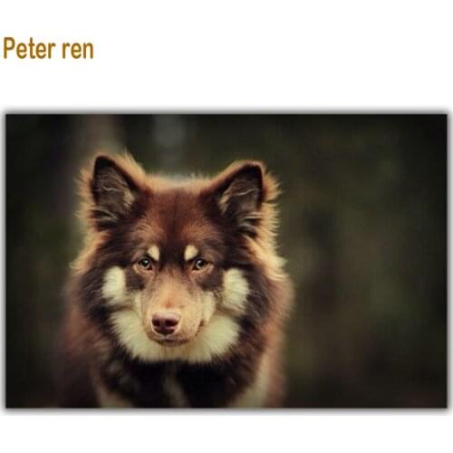 Peter ren Diamond painting A picture of rhinestones Round \ Square drill Mosaic Full Canvas for embroidery "Wolves in the night"