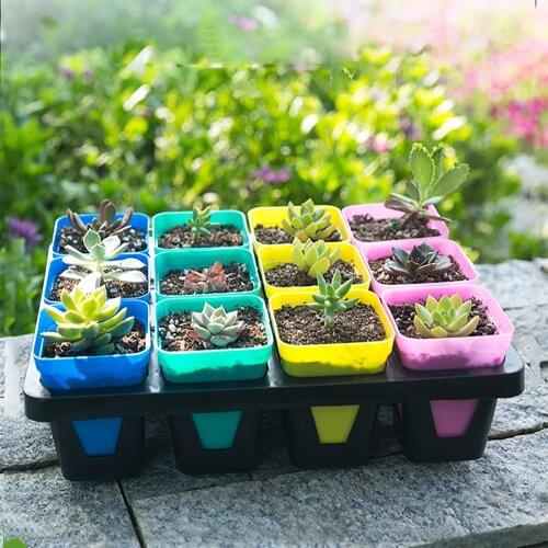 Plastic Flowerpot Garden Decor Fleshiness Botany Pots Bracket Grow Seedlings Nursery High-Quality Small Square Basin Plant Trays