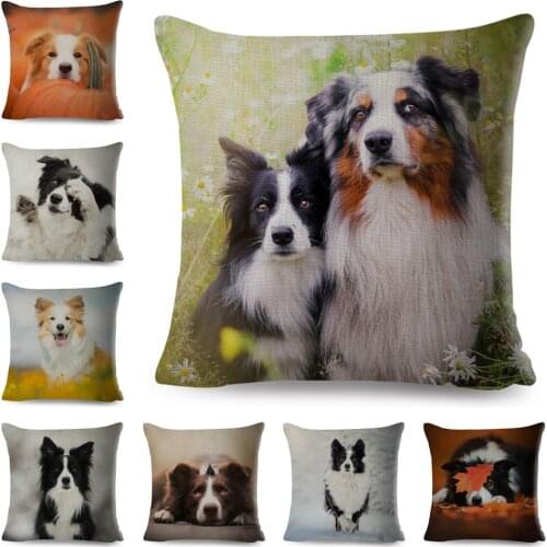 Scotland Border Collie Cushion Cover Animal Dog Printed Decor Cute Pet Pillow Case Polyester Pillowcase for Sofa Home Car 45*45