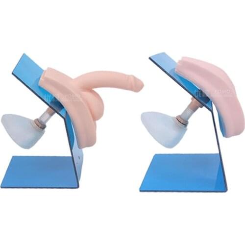 Male/female Catheter model medical Catheterization operation training teaching model