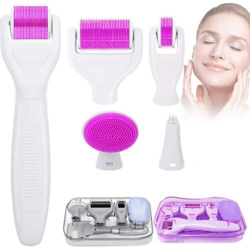 6-in-1Roller Microneedle Kit Non-Invasive Home Skincare Tools For Multiple Skin Care Treatment Facial Dermaroller