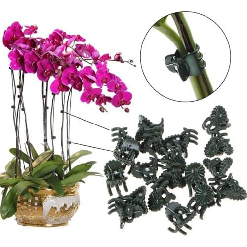 20Pc Plastic garden clip Special clip for Phalaenopsis Graft clip Plant vine clip Orchid Stem Vine Support Bundle Gardening Tool