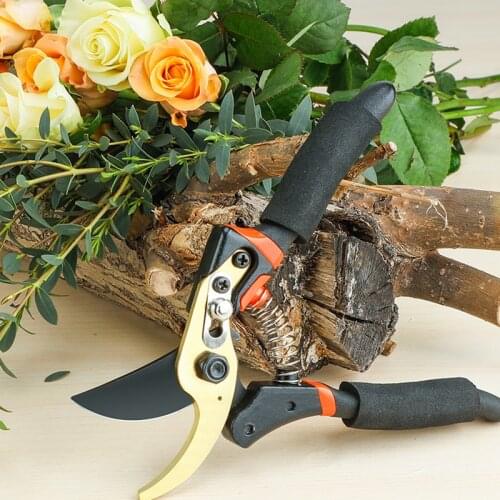 AIRAJ Secateurs