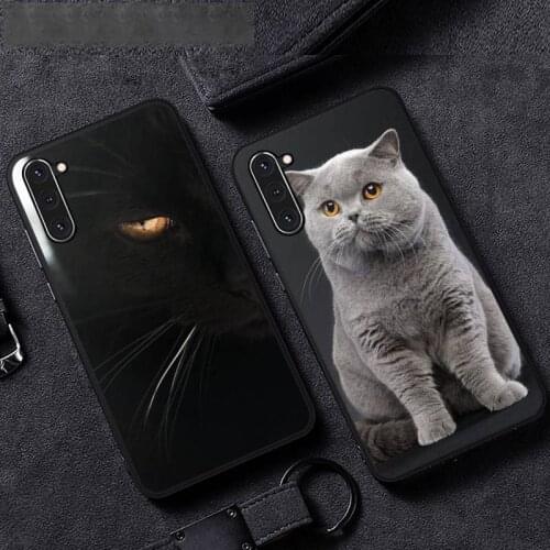 British shorthair cat Phone Case For Samsung A51 A32 A52 A71 A50 A12 A21S S10 S20 S21 Plus Fe Ultra