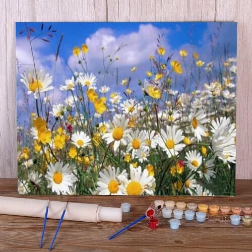 Flower DIY Paint By Numbers Package Oil Paints 50*70 Boards By Numbers Home Decor For Kids Art