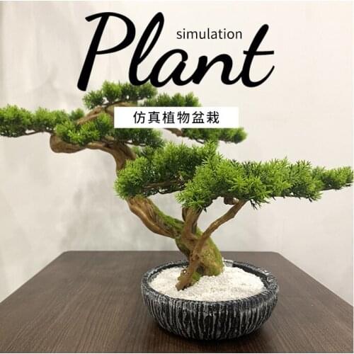 New Chinese style simulation pine tree visitor Landscape plants Desktop furnishing articles plant pots decorative craft supplies