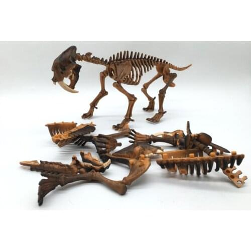 Dinosaur Archaeological Excavation Fossil Skeleton Assembly Model 24 cm for Kids Toy