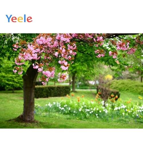 Flower Branch Park Nature Scenery Spring Backdrop Baby Vinyl Photography Background For Photo Studio Photophone Photozone Prop