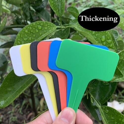 50 PCS Nursery Garden Plant Label Flower Marker Fruit Vegetable Seedling Tag Waterproof Sun-proof PP Plastic Label