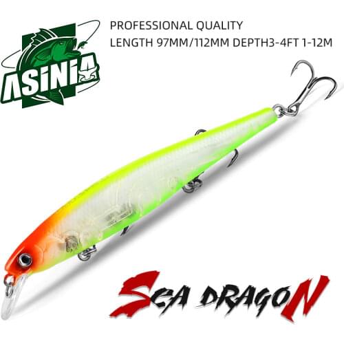 ASINIA Fishing Bait